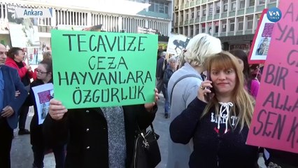 Hayvanseverler AKP’nin Teklifini Nasıl Değerlendiriyor?