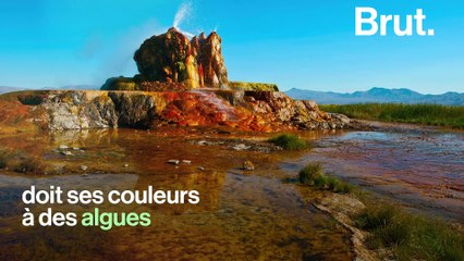 Le Fly Geyser : un site pas tout à fait naturel