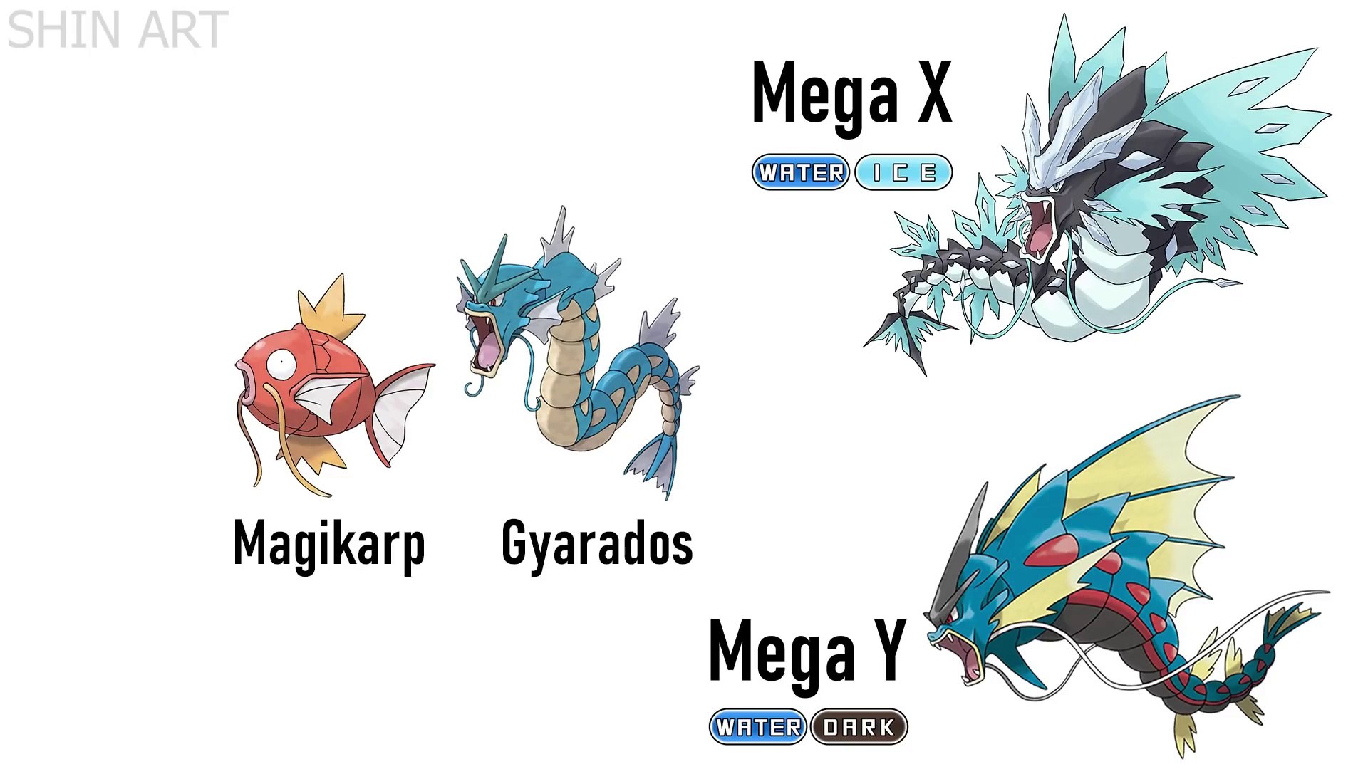 WORLD RECORD - Drawing Every Pokémon Mega X/Y Evolutions #1: All Starters  (Gen 1 to Gen 8) 