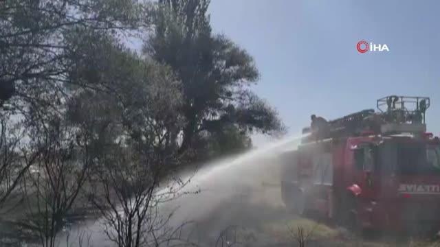 Tarlada çıkan yangında kümes alev aldı: 80'e yakın civciv ve tavuk telef oldu