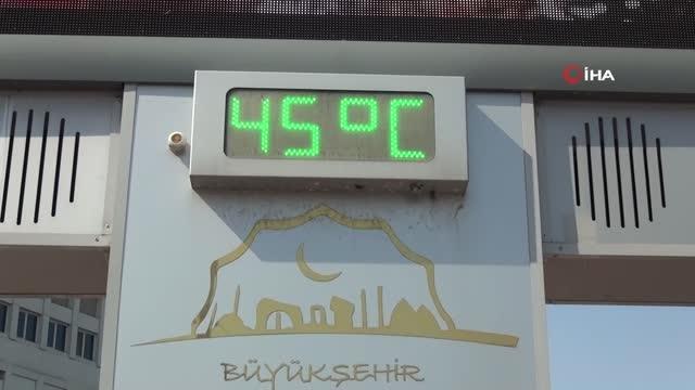 Sıcaktan bunalan güvercinler göletlerde serinledi