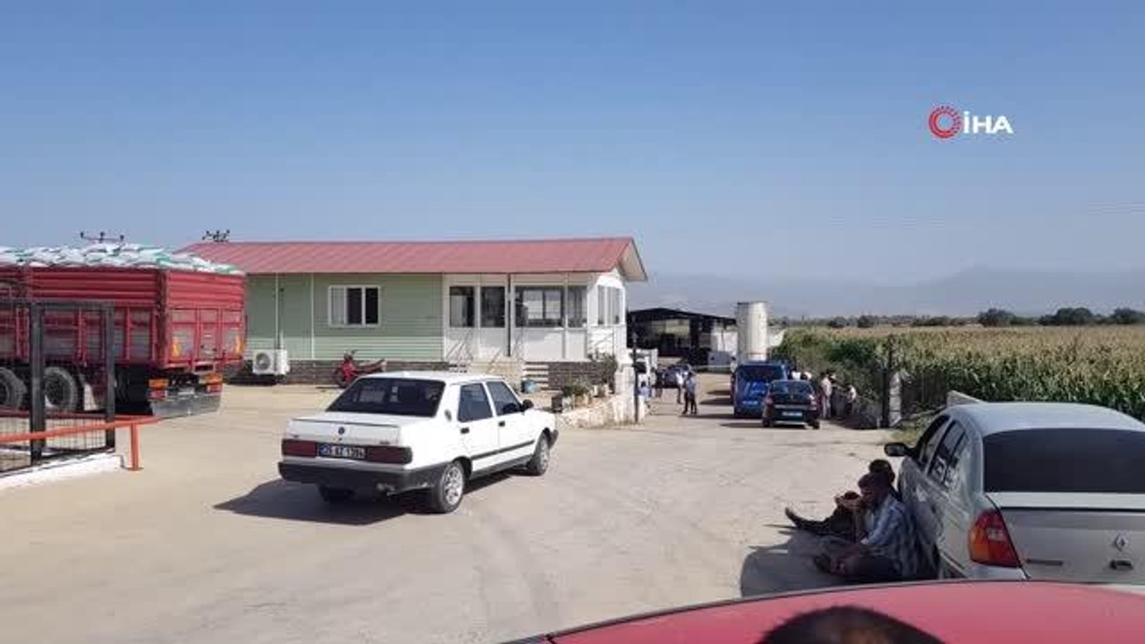 Son dakika haberleri: 5 yaşındaki çocuk, yem karma makinesinde hayatını kaybetti