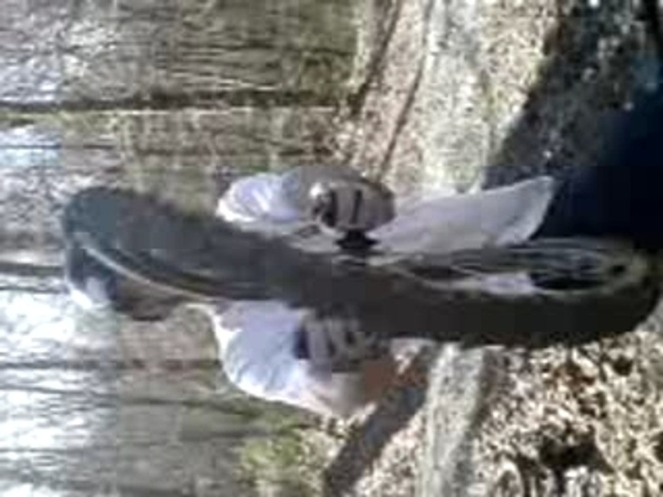roue 2