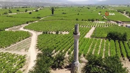 Üzüm bağlarının içindeki kırık minare zamana direniyor