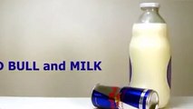 Enerji içeceği ile süt karıştırılırsa ne olur?