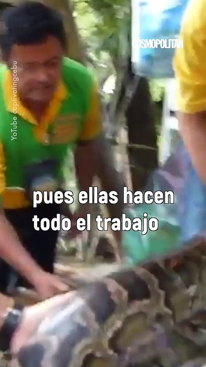 Te contamos todos los detalles sobre este poco tradicional masaje. 