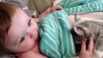 Bebek ile yavru kedinin sevimli dostluğu