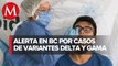 Aumentan casos de variantes de covid Delta y Gama en Baja California Sur