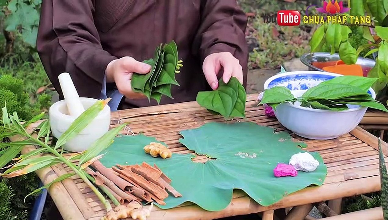Bài Thuốc Cấp Cứu Người Khẩn Cấp Khi Bị Rắn Độc Cắn  Thầy Thích Trí Huệ Hướng Dẫn