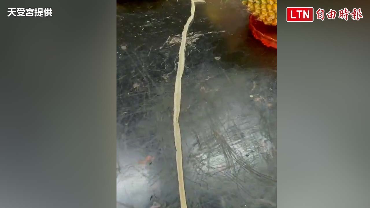 「帝爺公蛇」臨別贈禮？廟內驚見180公分「龍衣」珍品