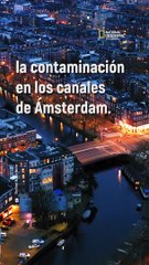 Esta barrera de burbujas ayuda a mantener limpios los canales de Ámsterdam