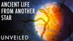 What If Life Came From Another Star System? | Unveiled
