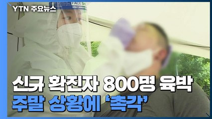 코로나19 신규 확진자 800명 육박...주말 상황에 '촉각' / YTN