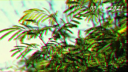 Kea by Deer Stream (electronic music / lofi hip hop / chill new music) New Artist discovery listen