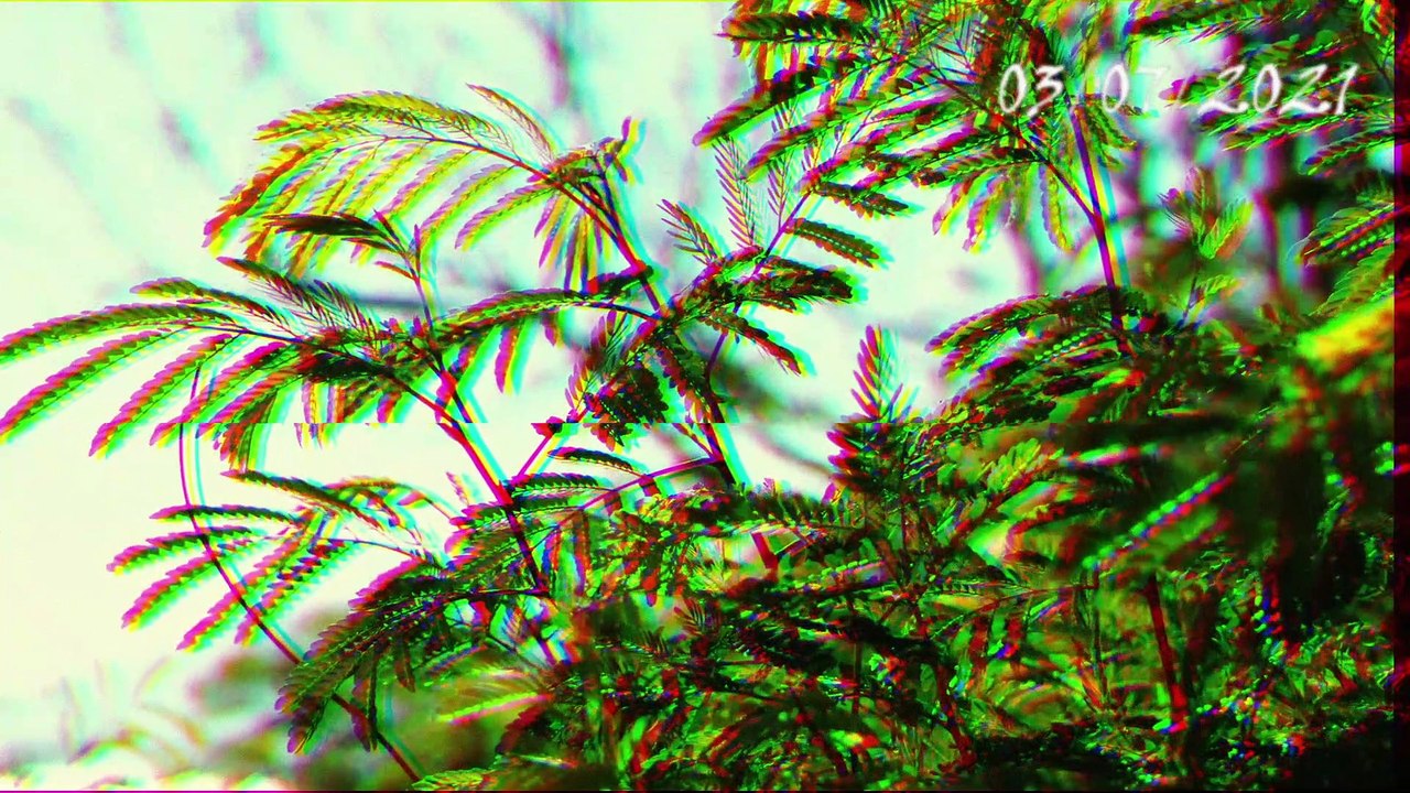 Kea by Deer Stream (electronic music / lofi hip hop / chill new music) New Artist discovery listen