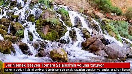 Serinlemek isteyen Tomara Şelalesi'nin yolunu tutuyor