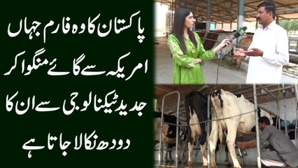 Pakistan ka woh farm jaha America se gaye mangwa kar jadeed technology se unka doodh nikala jata hai