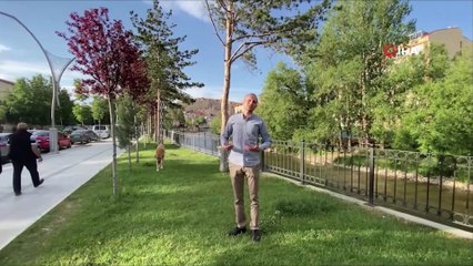 Bayburt’ta öğretmenler çocuklar için türkü söyledi