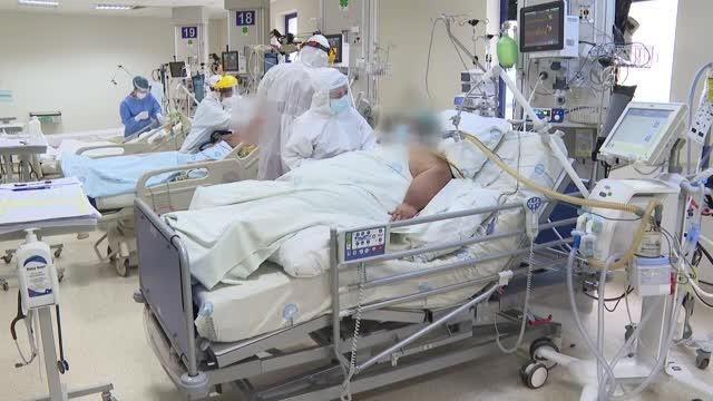 DSÖ Türkiye Temsilcisi Berdyklychev: Türkiye aşılama konusunda lider ülkelerden biri oldu