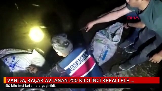 VAN'DA, KAÇAK AVLANAN 250 KİLO İNCİ KEFALİ ELE GEÇİRİLDİ