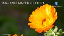 सतगुरुजी का भजन | Prem rawat bhajan | Satguruji main to hu tera bhajan | Guru maharaji bhajan | Satguru maharaji bhajans
