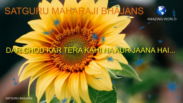 गुरुजी का भजन | Prem rawat bhajan | Dar chod kar tera kahi na aur jaana hai bhajan | Guru maharaji bhajan | Satguru maharaji bhajans