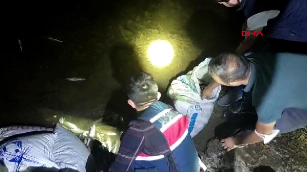 Van'da, kaçak avlanan 250 kilo inci kefali ele geçirildi