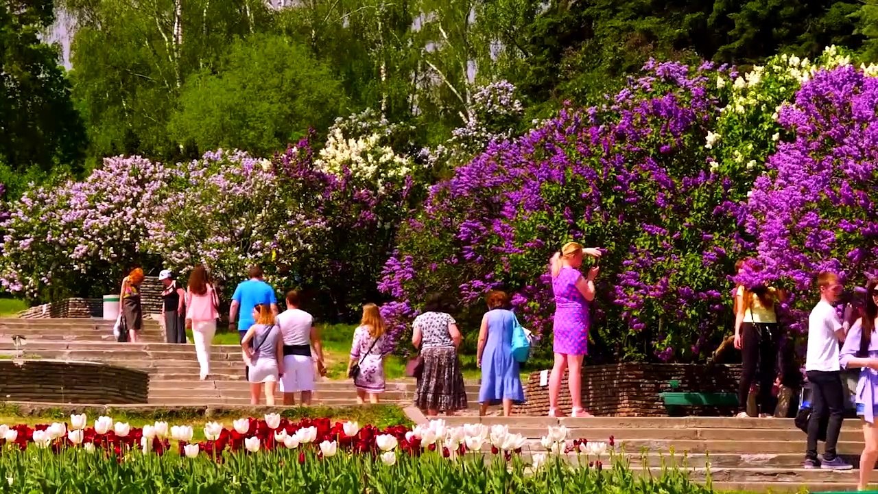 Sembrando Esperanza - Familia Noguera - Francisco Noguera, Ana, Moises, Israel - 02.07.2021