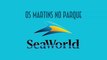 Os Martins no parque Sea World em Orlando - EMVB - Emerson Martins Video Blog 2016
