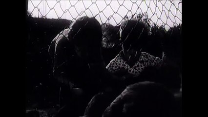 Beni ecen vete - pjesa 2HD