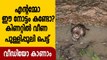 Leopard trapped Inside a well-Video | Oneindia Malayalam