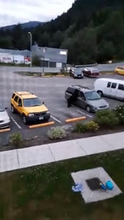 Smart Bear Slides Car Door Open for a Snack