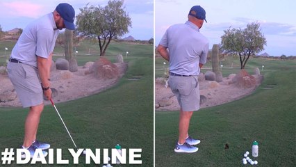 Maneuvering My Way Around Some Cacti For The #DailyNine