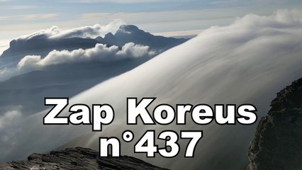 Zap Koreus nn°437