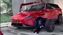 Crazy car