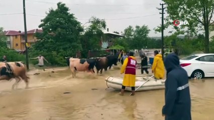 Kocaali sular altında kaldı, ilçede adeta hayat durdu