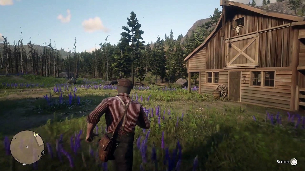 Red dead redemption 2 license key download pc