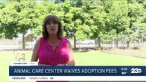 Pet of the Week - Animal Care Center waives adoption fees