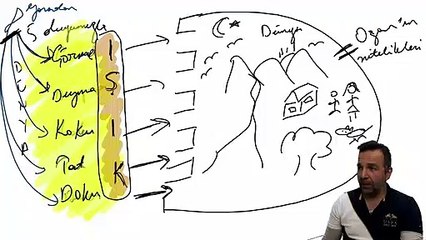 Kollektif bilinç kavramını açıklar mısınız?