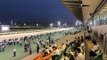 Japanese Night Game Horse Racing 2021 Sonoda Racecourse