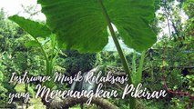 #8 Instrumen Musik Relaksasi yang Menenangkan Pikiran