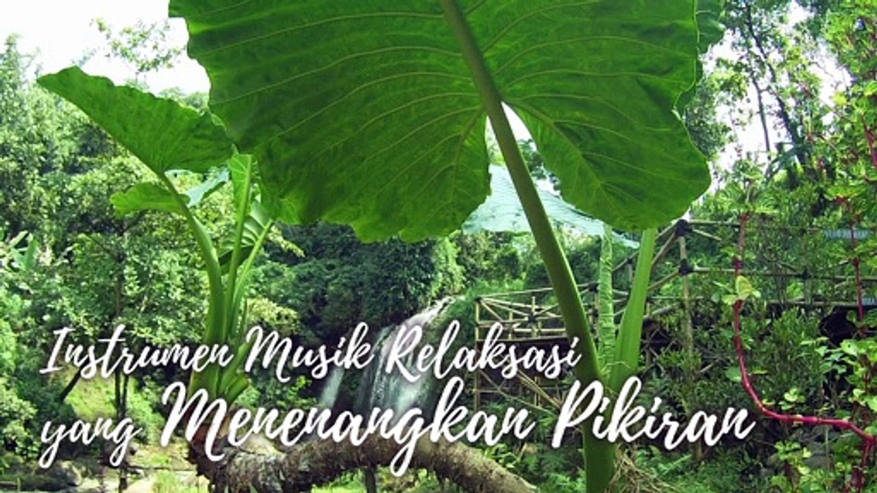 #8 Instrumen Musik Relaksasi yang Menenangkan Pikiran