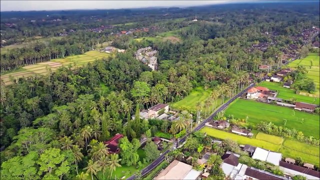 kenran ubud resort - Ubud hotel