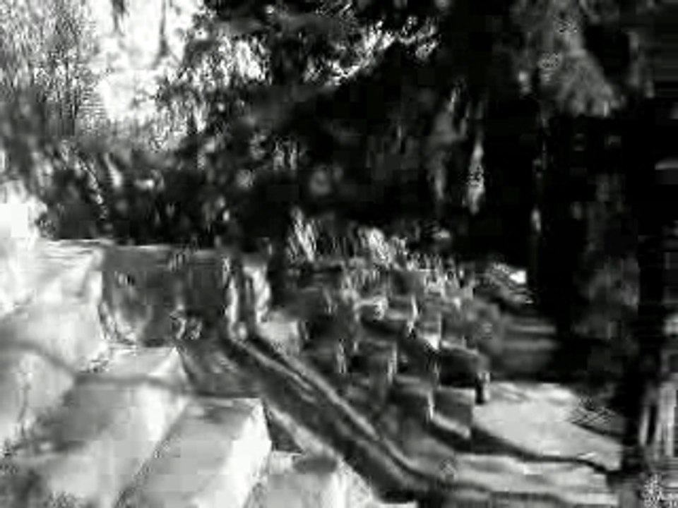 Clip jacky
