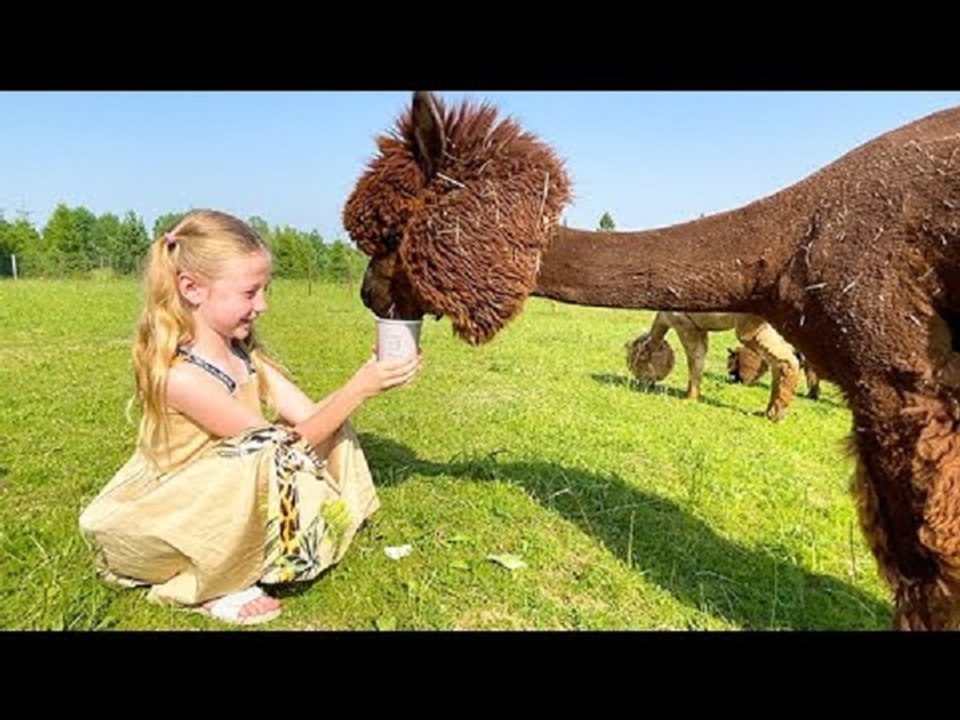 Diana and Roma DIY Boat Race! Rescued from Pirates by New Friend!