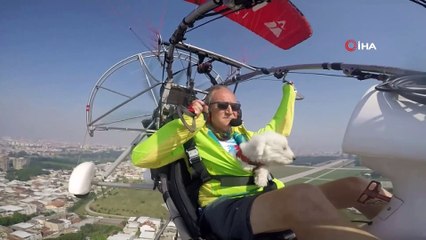 Köpeğinin doğum gününü gökyüzünde uçurarak kutladı