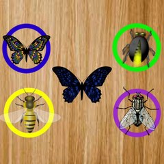 Wrong Shadow Insect Shadow Matching Game For Kids |What Is This Insect |Wrong Head Butterfly #shorts