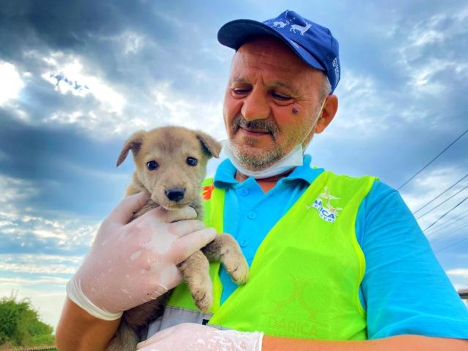Sokak hayvanlarının Ekrem amcası, şefkatiyle örnek oluyor