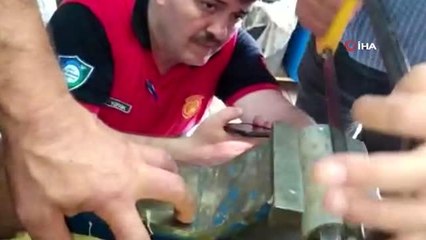 Demir boruya sıkışan yavru kedi için seferber oldular