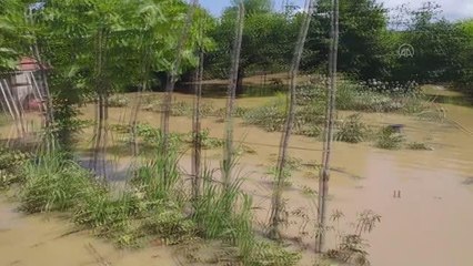 Şile'deki derenin taşması